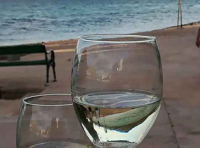 Ivan Vakantiehuis Zaboric